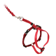 Rotes Hundegeschirr mit verstellbaren Riemen und einer passenden Leine, mit einem Metallclip zur Befestigung.