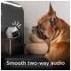 Ein Französischer Bulldog sitzt neben einer wandmontierten Kamera und schaut neugierig darauf. Der Text darunter lautet "Glattes Zwei-Wege-Audio."