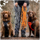 Eine Person hält graue und orange Leinen für zwei Hunde in Geschirren, beide mit dem Label "Flovik", einer schwarz und einer rot.