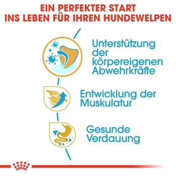 Ein perfekter Start ins Leben für Ihren Hundewelpen: Unterstützung der körpereigenen Abwehrkräfte, Entwicklung der Muskulatur, gesunde Verdauung.