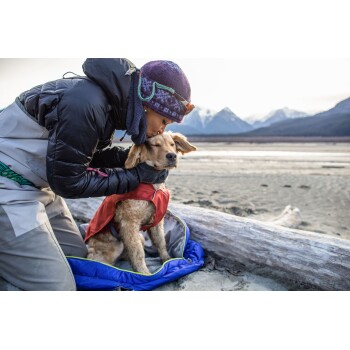 Eine Person in Winterkleidung streichelt einen Golden Retriever in einer roten Jacke, der auf einem blauen Hundebett sitzt, mit Bergen im Hintergrund.