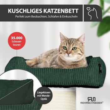 Getigerte Katze auf grünem Cord-Katzenbett auf dem Kratzbaum; sichtbarer Text: 'KUSCHLIGES KATZENBETT' und '35.000 Scheuertouren'.