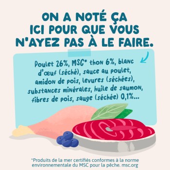 Illustration de poulet et thon avec texte « ON A NOTÉ ÇA ICI POUR QUE VOUS N'AYEZ PAS À LE FAIRE. » et « Poulet 26 % ».