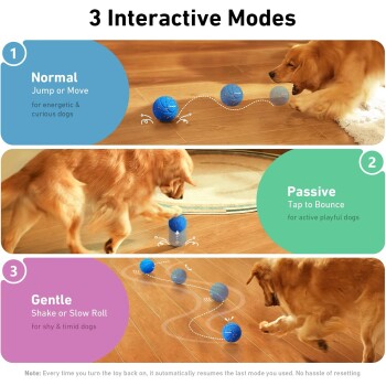 Interaktives Hundespielzeug mit drei Modi: Normal (springen/bewegen), Passiv (antippen zum Springen) und Sanft (schütteln/langsame Rolle), demonstriert von einem Golden Retriever.