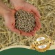 Paar Hände hält kleine Holzpellets über Stroh; ein goldenes Siegel trägt die Aufschriften 'Seit über 15 Jahren', 'Bewährte Qualität', 'Best Quality'.