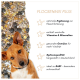 Nahaufnahme eines braunen Hundes mit geneigtem Kopf neben einer Mischung aus Haustierfutterflocken und -pellets mit deutschem Text, der die Vorteile von „FLOCKENMIX PLUS“ hervorhebt.