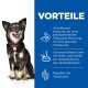 Ein glücklicher schwarz-brauner Hund sitzt neben einem blauen Panel, das die Vorteile von ActivBiome+ Hundefutter hervorhebt, einschließlich der Verdauungsgesundheit und Hafer.