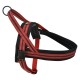 Rotes und schwarzes Hundegeschirr mit gepolsterten Riemen und einem Metall-D-Ring zur Leinenbefestigung, entworfen für Komfort und Kontrolle.