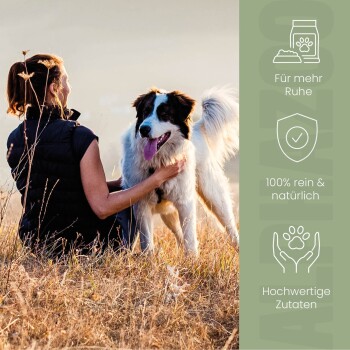 Tabelle mit täglichen Fütterungsmengen für Haustiere basierend auf dem Gewicht, mit Anweisungen für Hunde und Katzen sowie Messlöffelgrößen.