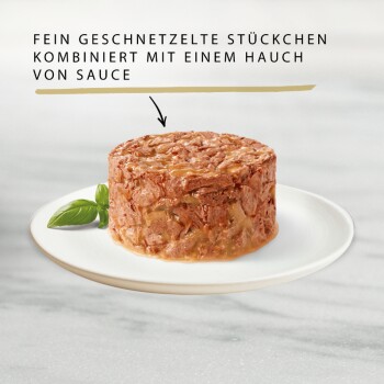 Haustierfutter auf einem weißen Teller mit zerkleinertem Fleisch, Sauce und einem Basilikumblatt. Deutscher Text: "Fein geschnetzelte Stückchen mit Sauce."