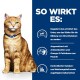 Orange getigerte Katze mit blauem Halsband neben Text über die Vorteile von Haustierprodukten: pH-Regulierung, Antioxidantien und kontrollierte Mineralien.