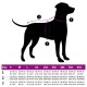 Silhouette eines Hundes mit Maßpunkten, die 1 (Hals), 2 (Brust) und 3 (Länge) beschriftet sind, neben einer Größentabelle für Hundebekleidung.