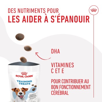 Emballage de friandises Royal Canin pour l'entraînement avec un texte mettant en avant des nutriments comme le DHA, les vitamines C et E pour la fonction cognitive, avec un chien.