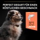 Ein flauschiger Hund mit einem braunen Halsband schaut seitlich, mit Text: "Perfekt gegart für einen köstlichen Geschmack" und "Nr. 1 Zutat Lachs."