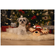 Kleiner weiß-grauer Hund liegt auf einem Teppich neben einem Plüshirsch mit Weihnachtsmütze, im Hintergrund ein geschmückter Weihnachtsbaum und Geschenke.