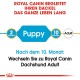 Royal Canin Fütterungsanleitung für Dachshunde, die "Welpe" für 2 Monate und "Erwachsener" für 10 Monate angibt, mit einem Überghinweis.