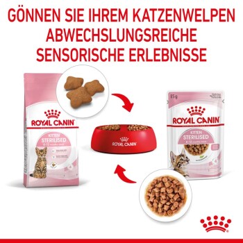 Royal Canin Kitten Sterilised Futter für Katzen von 6-12 Monaten, mit Trockenfutter, einer roten Schüssel und Nassfutter. Text: "Gönnen Sie Ihrem Katzenwelpen sensorische Erlebnisse."