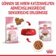 Royal Canin Kitten Sterilised Futter für Katzen von 6-12 Monaten, mit Trockenfutter, einer roten Schüssel und Nassfutter. Text: "Gönnen Sie Ihrem Katzenwelpen sensorische Erlebnisse."