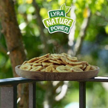 Holzteller gefüllt mit Bananenchips auf einem Geländer, mit dem „Lyra Nature Power“-Logo darüber in Grün und Weiß.