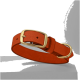 Ein lebhaft orangefarbenes Haustierhalsband mit einer goldenen Schnalle und D-Ring, vor einem neutralen grauen Hintergrund präsentiert.