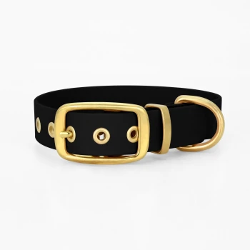 Schwarzes Haustierhalsband mit einer goldenen Schnalle und einem Metallring, mit mehreren goldenen Ösen entlang des Riemens.