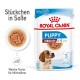 Royal Canin Welpenfutter für mittelgroße Rassen, geeignet für Welpen im Alter von 2-12 Monaten, mit weichen Stückchen in Sauce.