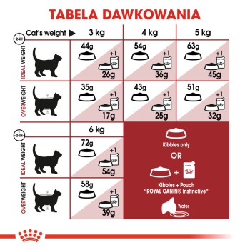 Tabela żywienia dla kotów pokazująca zalecane dzienne ilości karmy suchej i saszetek w zależności od wagi (3-6 kg) i stanu (idealna/nadwaga).