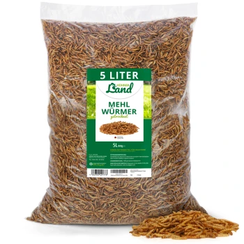 Eine durchsichtige Plastiktüte gefüllt mit getrockneten Mehlwürmern, beschriftet mit "5 LITER MEHL WÜRMER" in grünem und weißem Text, mit einem kleinen Haufen Mehlwürmer davor.