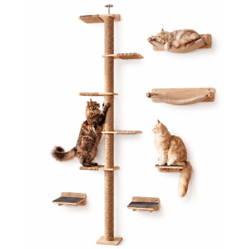 Wandmontierter Kratzbaum mit Sisalpfosten, Ablagen und Hängematten; drei flauschige Katzen – eine klettert, eine sitzt, eine schläft.