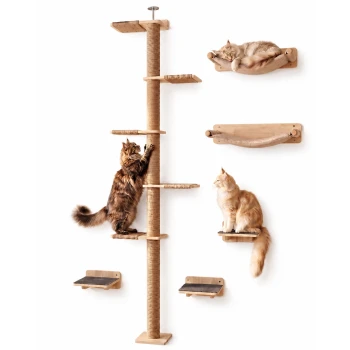 Wandmontierter Kratzbaum mit Sisalpfosten, Ablagen und Hängematten; drei flauschige Katzen – eine klettert, eine sitzt, eine schläft.