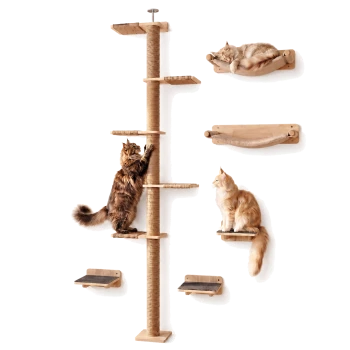 Wandmontierter Kratzbaum mit Sisalpfosten, Ablagen und Hängematten; drei flauschige Katzen – eine klettert, eine sitzt, eine schläft.