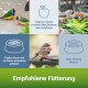Bild mit bunten Vögeln und Fütterungshinweisen: 'Empfohlene Fütterung' mit Symbolen für frisches Futter, tägliche Fütterung und frisches Wasser.