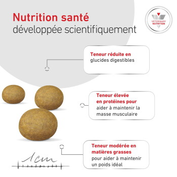 Morceaux de croquettes ronds avec l'en-tête français 'Nutrition santé' et encarts : glucides réduits, riche en protéines, matières grasses modérées.