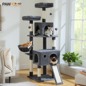 Grauer mehrstufiger Katzenbaum mit drei darauf liegenden Katzen, nahe einem Fenster und einer grünen Pflanze, mit "PAWZROAD" Logo oben links.