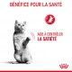 Un chat gris joueur se tenant sur ses pattes arrière, avec le texte "BÉNÉFICE POUR LA SANTÉ" et "AIDE À CONTRÔLER LA SATIÉTÉ" en rouge.