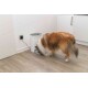 Ein Collie-Hund frisst aus einem modernen, weißen Futterspender in einer Kücheneinstellung, mit einer sichtbaren Steckdose in der Nähe.