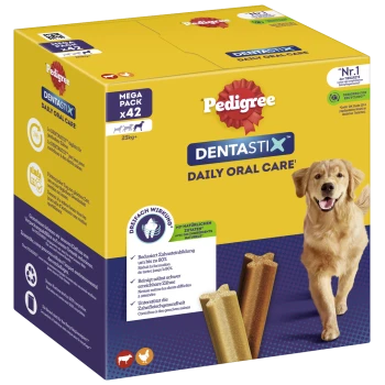 Pedigree Dentastix Daily Oral Care Mega-Pack mit 42 Leckerlis für Hunde, mit einem Golden Retriever und Ansprüchen über zahnmedizinische Vorteile.