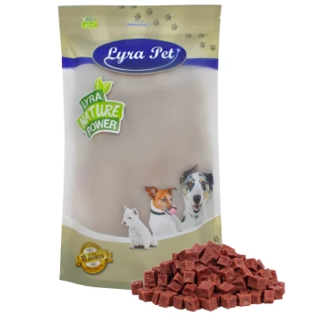Lyra Hundefutterverpackung mit einem Logo, das Bilder eines Hundes, einer Katze und eines kleinen Hundes zeigt, neben einem Haufen Trockenfutter.