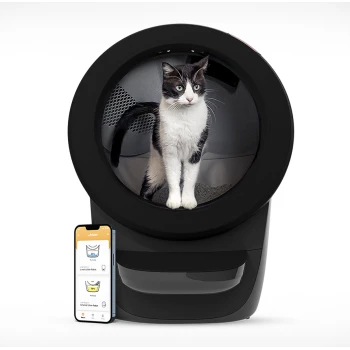 Eine schwarze automatisierte Katzentoilette mit einer Katze, die darin steht, neben einem Smartphone, das eine Schnittstelle einer Haustierpflege-App anzeigt.