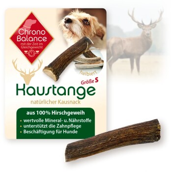 Rothirsch Geweihstange Halbiert 40 g