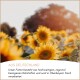 Sonnenblumen auf einem Feld mit deutschem Text über Tierfutter aus hochwertigen regionalen Zutaten in Oberbayern.
