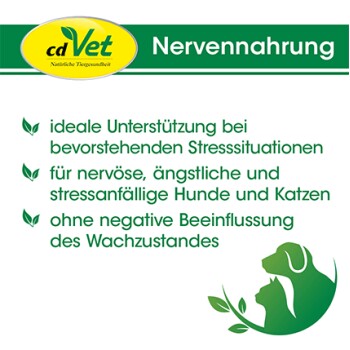 Ein Hund und eine Katze im Freien neben einem Behälter mit "Nervenahrung Nerve Food", der zur Unterstützung der Nerven gekennzeichnet ist.