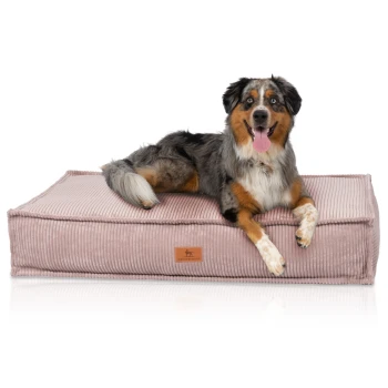 Ein glücklicher Australian Shepherd Hund, der auf einem plüschigen, rosa Cord-Haustierbett mit einem Lederschild sitzt, auf dem 'KNUFFERWUFF' steht.