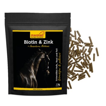Biotin & Zink
