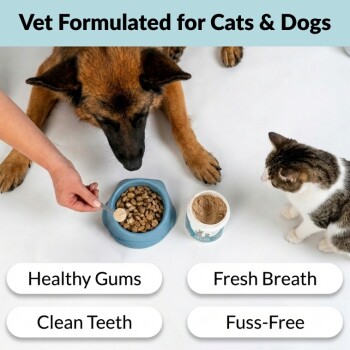 Dog and cat by blue bowl as hand adds powder to kibble; visible text: 'Vet Formulated for Cats & Dogs' and benefit labels.