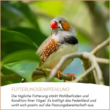 Supravit-Logo mit deutschem Text „einfach gutes Futter für vitale und gesunde Tiere“ und Illustrationen von zwei braunen Vögeln.