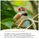 Supravit-Logo mit deutschem Text „einfach gutes Futter für vitale und gesunde Tiere“ und Illustrationen von zwei braunen Vögeln.