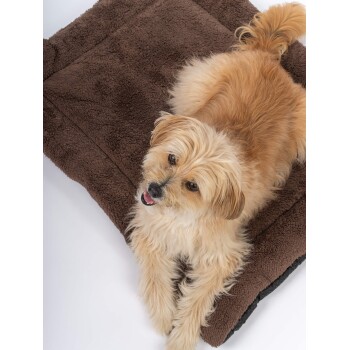 Ein kleiner, flauschiger, tanfarbener Hund liegt auf einem weichen, braunen Haustierbett und schaut mit einem glücklichen Ausdruck nach oben.