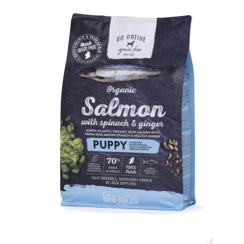 Organic salmon dog food bag featuring spinach and ginger, labeled "Puppy," with 70% meat content and 100% Irish ingredients.