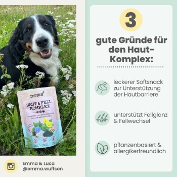 Lächender Berner Sennenhund mit Beutel 'HAUT & FELL KOMPLEX'; rechte Seite mit der Überschrift '3 gute Gründe für den Haut-Komplex' und drei deutschen Vorteilen.